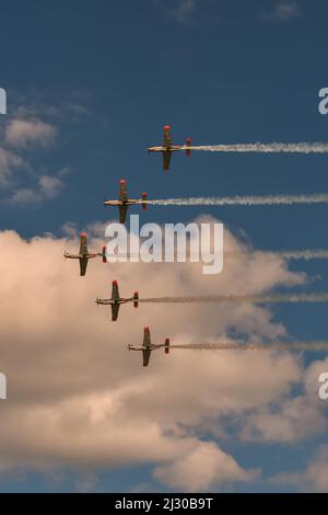 Gdynia, Polen - 21. August 2021: Flug der polnischen Luftwaffe Orlik Kunstflugteam auf der Aero Baltic Show in Gdynia, Polen. Stockfoto