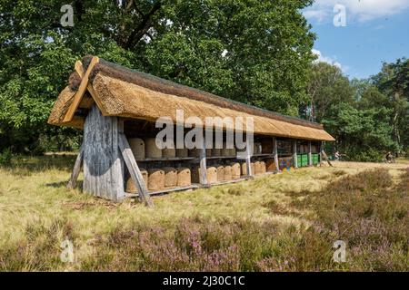 Bienenstöcke, bei Niederhaverbeck, Naturpark Lüneburger Heide, Niedersachsen, Deutschland Stockfoto