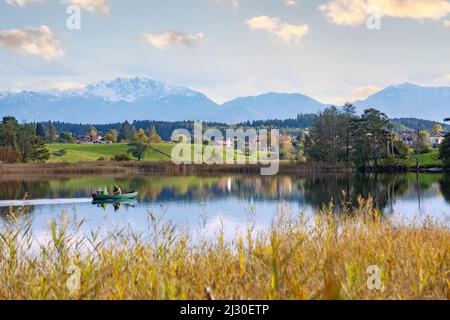 Iffeldorf, Fohnsee, Naturschutzgebiet Osterseen, Karwendelgebirge Stockfoto