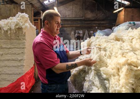 Unbehandelte Wolle, Harris Tweed-Produktion in Shawbost Mill, Isle of Lewis, Äußere Hebriden, Schottland, Großbritannien Stockfoto