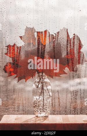 Blumenstrauß aus hellen Ahornholzherbstblättern in Glasvase, stehend auf Fensterbank, Glasfenster mit Regentropfen Stockfoto