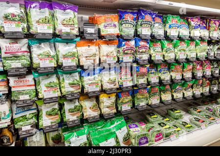 Miami Beach, Florida, Publix, Supermarkt, Lebensmittel, innen, Ausstellungsverkauf, Taschen verpackt Salat Fresh Express Stockfoto