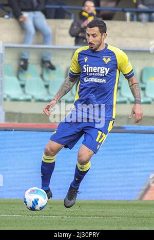 Verona, Italien. 04. April 2022. Verona (VR), Italia, 04. April 2022, Stadio Marc'Antonio Bentegodi, 31Â giornata Campionato di calcio Serie A Tim 2021/2022, incontro tra le squadre dell'Hellas Verona e del Genoa CFC, nella foto: 17 Federico Ceccherini Credit: Independent Photo Agency/Alamy Live News Stockfoto