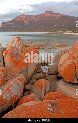 Fotheringate Bay und Strzelecki Peaks, Flinders Island Stockfoto