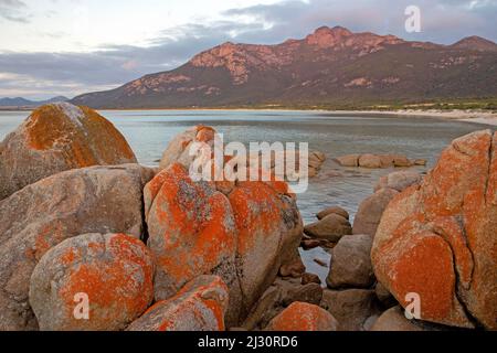 Fotheringate Bay und Strzelecki Peaks, Flinders Island Stockfoto