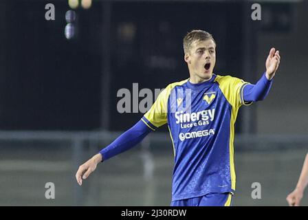 Verona, Italien. 04. April 2022. Verona (VR), Italia, 04. April 2022, Stadio Marc'Antonio Bentegodi, 31Â giornata Campionato di calcio Serie A Tim 2021/2022, incontro tra le squadre dell'Hellas Verona e del Genoa CFC, nella foto: 14 Ivan Ilic Credit: Independent Photo Agency/Alamy Live News Stockfoto