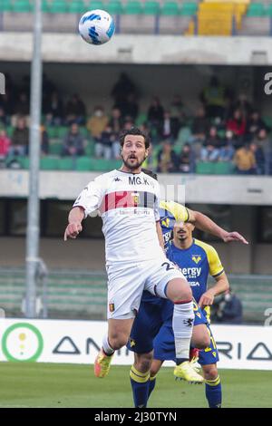 Verona, Italien. 04. April 2022. Verona (VR), Italia, 04. April 2022, Stadio Marc'Antonio Bentegodi, 31Â giornata Campionato di calcio Serie A Tim 2021/2022, incontro tra le squadre dell'Hellas Verona e del Genoa CFC, nella foto: 23 Mattia Destro Credit: Independent Photo Agency/Alamy Live News Stockfoto