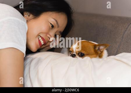 Tierbesitzer, der den Chihuahua Hund ansieht, während er auf einem Bett liegt. Stockfoto