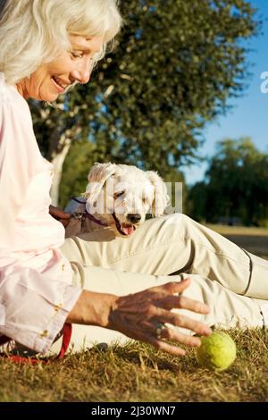 Ältere Frau mit ihrem älteren Cockapoo-Hund Stockfoto