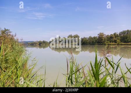 Europareservat Unterer Inn, Innspitz bei Haiming Stockfoto