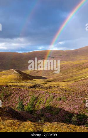 Rainbow, Cairngorm Mountains, Highlands, Highlands, Heath Blossom, Schottland, Großbritannien Stockfoto