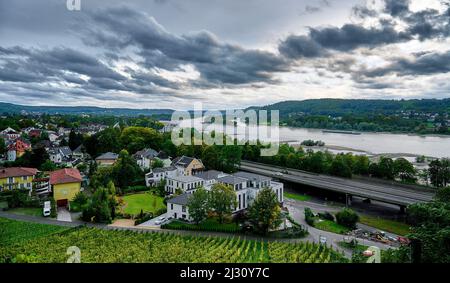 Blick über die Rhöndorfer Weinberge Richtung Süden über die Rein, Bad Honnef, Nordrhein-Westfalen, Deutschland Stockfoto