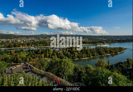 Die Rheininsel Nonnenwerth und der Rhein aus der Sicht von Rolandsbögen, Remagen, Kreis Ahrweiler, Rheinland-Pfalz, Deutschland Stockfoto