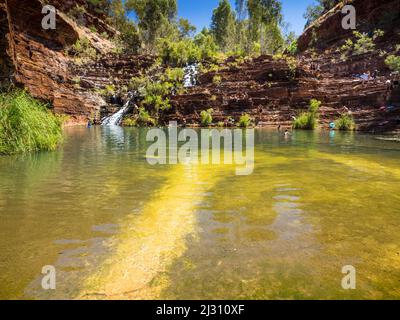 Schwimmloch unter den Fortescue Falls, Dales Gorge, Karijini National Park Stockfoto