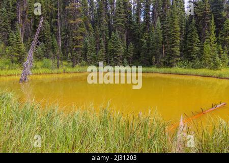 Kootenay-Nationalpark, Paint Pots Stockfoto