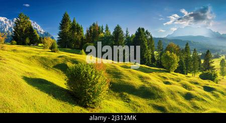 Buckelwiesen zwischen Mittenwald und Krün, Werdenfelser Land, Oberbayern, Bayern, Europa Stockfoto