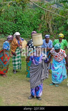 Uganda; westliche Region; südlicher Teil; Tanzvorstellung im Kulturzentrum in Ruguburi Stockfoto