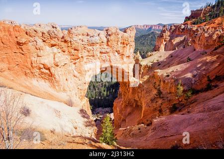 Bryce Canyon, Bryce-Canyon-Nationalpark, Utah, USA Stockfoto