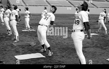 Los Angeles Dodgers-Spieler beim Vorsaison-Training im Dodger Stadium in Los Angeles, CA Stockfoto