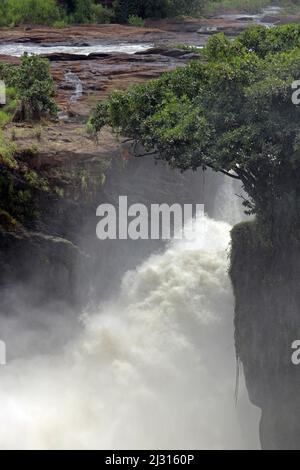 Uganda; nördliche Region an der Grenze zur westlichen Region; Murchison Falls National Park; auf dem Victoria Nil; die sprühenden und donnernden Whirlpools des Murchison Wasserfalls Stockfoto