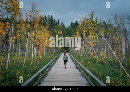 Frau geht auf einer Promenade mit Birken mit Herbstblättern im Nationalpark Tyresta in Schweden Stockfoto
