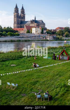 Junge Menschen sitzen auf Liegestühlen auf der Elbe, dahinter Magdeburger Dom, Sachsen-Anhalt, Deutschland Stockfoto