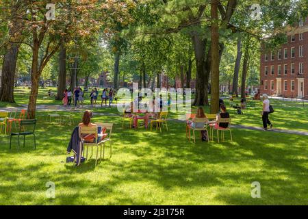 CAMBRIDGE, MA, USA - 13. SEPTEMBER 2017: Studenten und Touristen ruhen sich in Rasenstühlen im Harvard Yard aus, dem offenen alten Herzen des Campus der Harvard University i Stockfoto