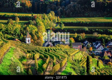 Achkarren Im Herbst, Kaiserstuhl, Baden-Württemberg Stockfoto