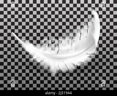 Weiße flauschige Feder mit Schatten Vektor realistisch isoliert auf transparentem Hintergrund. Federn aus Flügeln von Vögeln oder Engel, Symbol der Weichheit und pu Stock Vektor