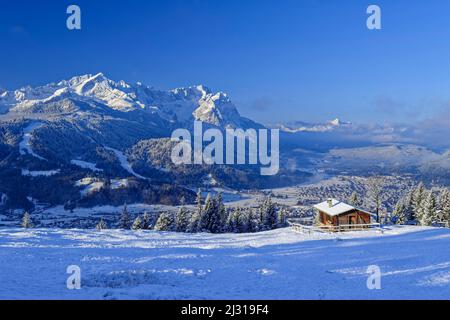 Verschneite Alm oberhalb des Garmisch-Talkessels mit Wetterstein mit Alpspitze und Zugspitze im Hintergrund, Eckenalm, Estergebirge, Werdenfelser Land, Bayerische Alpen, Oberbayern, Bayern, Deutschland Stockfoto