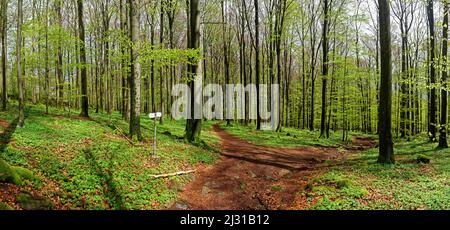 Einladende Wanderwege am Fuße des Schafstein, Wasserkuppe, Rhön, Hessen, Deutschland. Stockfoto