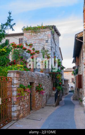 Gasse in Assisi, Provinz Perugia, Umbrien, Italien Stockfoto