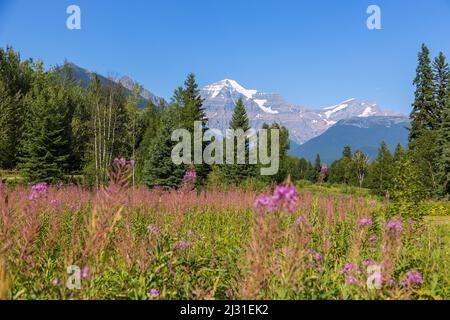 Mount Robson Provincial Park, Mount Robson Stockfoto