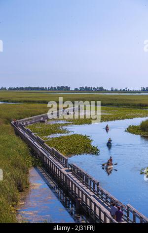 Point Pelee National Park, Marsh Board Walk, Kanufahrer Stockfoto