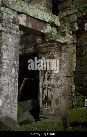 Apsara-Figur auf einer Wand auf dem Ta Prohm Tempelgelände in Siem Reap, Kambodscha. Einst als Drehort für einen Hollywood-Film von 2001 verwendet Lara Croft: Tomb Raider mit Angelina Jolie und vor allem bekannt für seine riesigen Wurzeln aus wilden Bäumen, die tief zwischen den Steinen verwurzelt sind, war Ta Prohm ein Kloster für Studenten des Mahayana-Buddhismus, bevor es verlassen und für Hunderte von Jahren vergessen wurde. Stockfoto