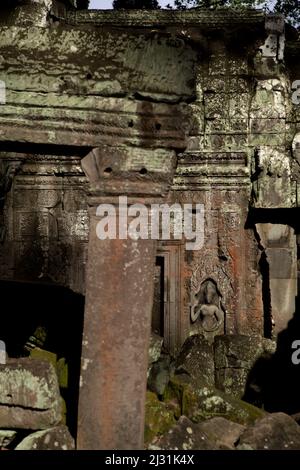 Apsara-Figur auf einer Wand auf dem Ta Prohm Tempelgelände in Siem Reap, Kambodscha. Einst als Drehort für einen Hollywood-Film von 2001 verwendet Lara Croft: Tomb Raider mit Angelina Jolie und vor allem bekannt für seine riesigen Wurzeln aus wilden Bäumen, die tief zwischen den Steinen verwurzelt sind, war Ta Prohm ein Kloster für Studenten des Mahayana-Buddhismus, bevor es verlassen und für Hunderte von Jahren vergessen wurde. Stockfoto