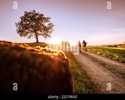 Zwei Schotterbiker fahren auf Veiglberg bei Wolfsratshausen in den Sonnenuntergang Stockfoto