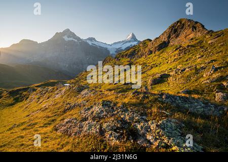 Gipfel, Wetterhorn, Schreckhorn, Grindelwald, Berner Oberland, Schweiz Stockfoto