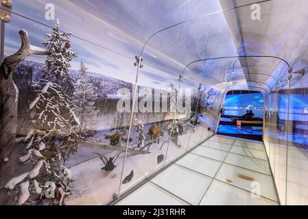 Haltia Nature Center in Nuuksio NP, Espoo, Helsinki, Finnland Stockfoto