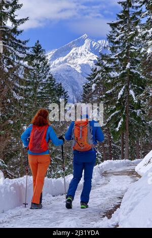 Mann und Frau wandern auf gerodeten Wanderwegen durch verschneiten Wald, Alpspitze im Hintergrund, Kramerplateauweg, Garmisch, Ammergauer Alpen, Werdenfelser Land, Oberbayern, Bayern, Deutschland Stockfoto