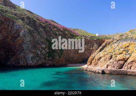 Eine idyllische Bucht mit kleinem Strand auf einer kleinen Atlantikinsel wirth Klippen und vielen bunten Blumen unter einem blauen Himmel Stockfoto
