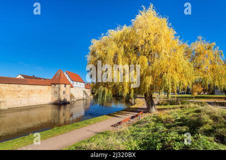 Stadtmauer am Seeweiher, Weißenburg, Franken, Bayern, Deutschland Stockfoto