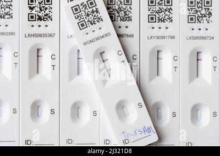 Studiofoto von COVID Lateral Flow Tests - positiv und negativ Stockfoto