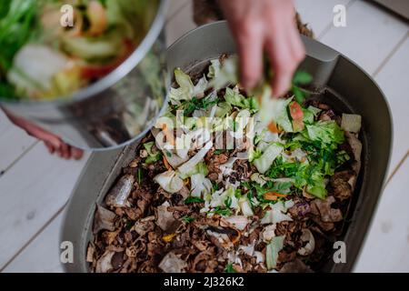 Frau wirft Gemüseschnitzel in einen Komposteimer in der Küche. Stockfoto