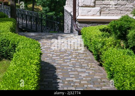 Ein Steinfliesenweg gepflastert im Hinterhof mit grünen beschnittenen Buchsbaumsträuchern an der Ecke der Fassade des Hauses aus dekorativem Rohstein und Stockfoto