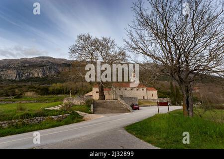 Franziskanerkloster im Dorf Pridvorje. Konavle. Kroatien. Stockfoto