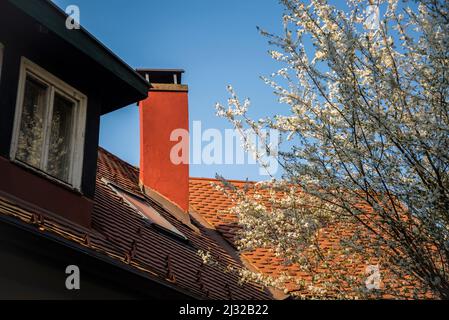 Roter Kamin und weiße Frühlingsblüte in Rokov perivoj, einem elitären Teil von Zagreb, wo berühmte kroatische Künstler lebten, Zagreb, Kroatien Stockfoto