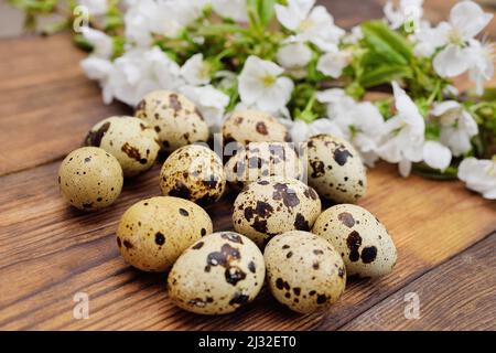 Wachteleier aus nächster Nähe auf einem Holztisch vor dem Hintergrund eines blühenden Astes. Stockfoto