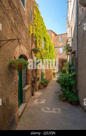 Gasse in Capalbio, Maremma, Provinz Grosseto, Toscana, Italien Stockfoto