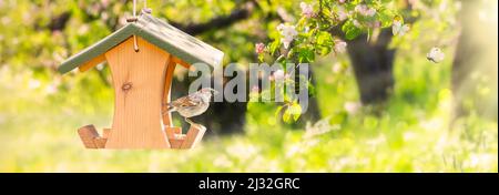 Vogelfutterhäuschen mit Sperling vor einem blühenden Obstgarten mit Schmetterlingen und schönem Bokeh Stockfoto